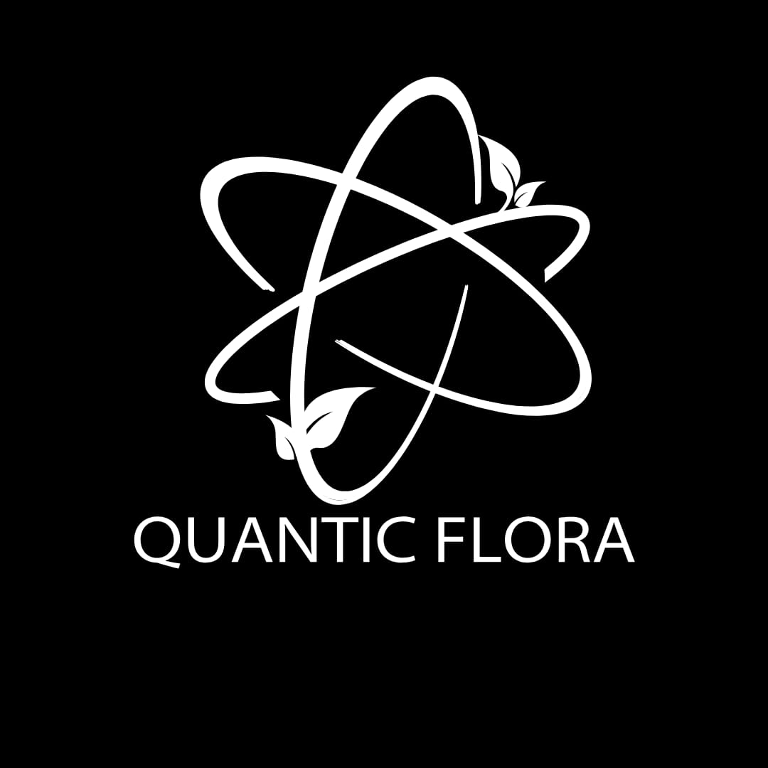 QUANTIC FLORA